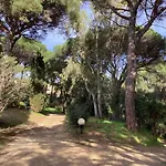 Mazet Domaine Des Restanques *