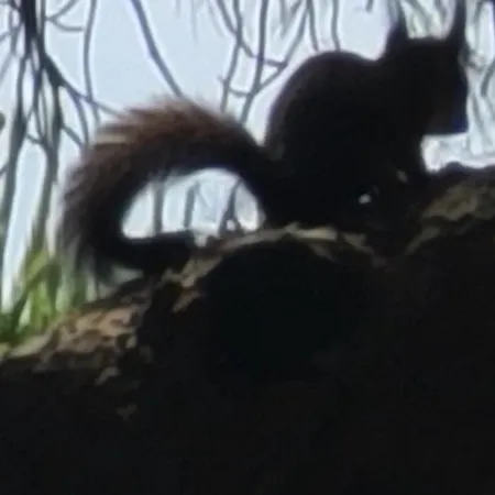 Mazet Domaine Des Restanques Ferienhaus