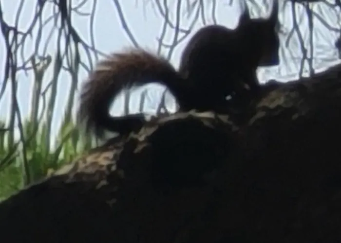 Mazet Domaine Des Restanques Ferienhaus